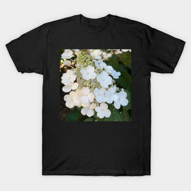 White hydrangeas T-Shirt by DentistArt2022